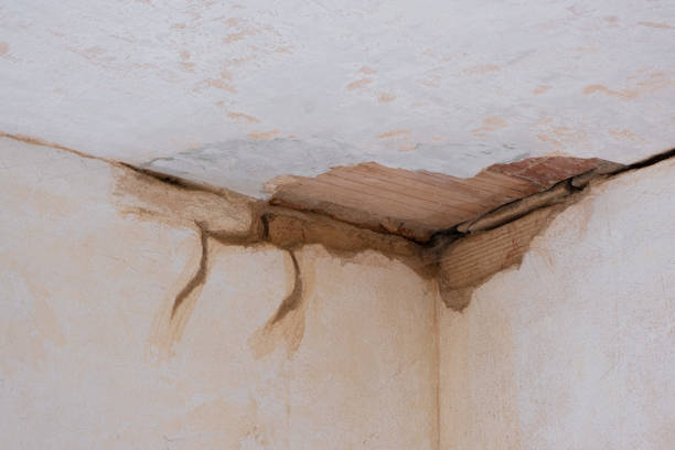 Best Water damage restoration insurance claims  in Due West, SC