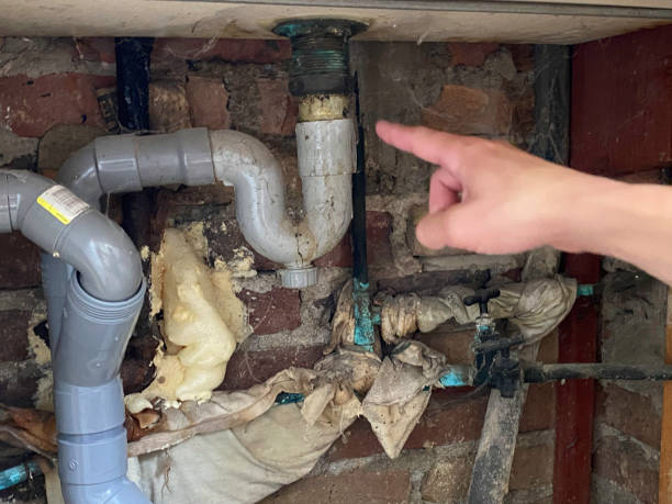 Best Flood damage cleanup  in Due West, SC