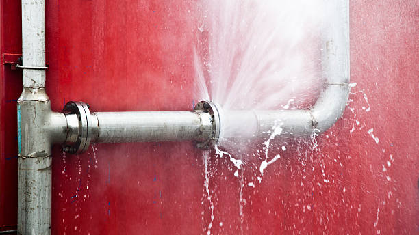 Best 24-hour water damage restoration  in Due West, SC